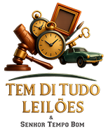 Tem Di Tudo Leilões