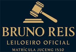 Bruno Reis Leilões