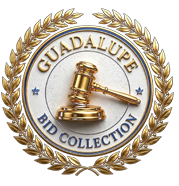 Guadalupe Bid Collection