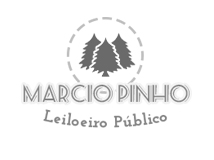 Marcio Pinho - Leiloeiro Público