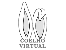 Coelho Virtual Leiloes